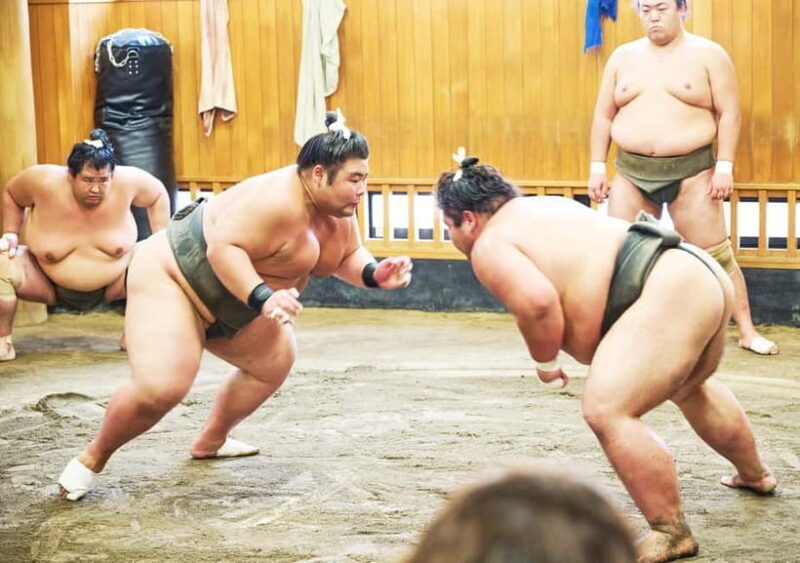 Tokyo: Sumo Morning Practice Viewing Tour at a Real Stable - Key Points