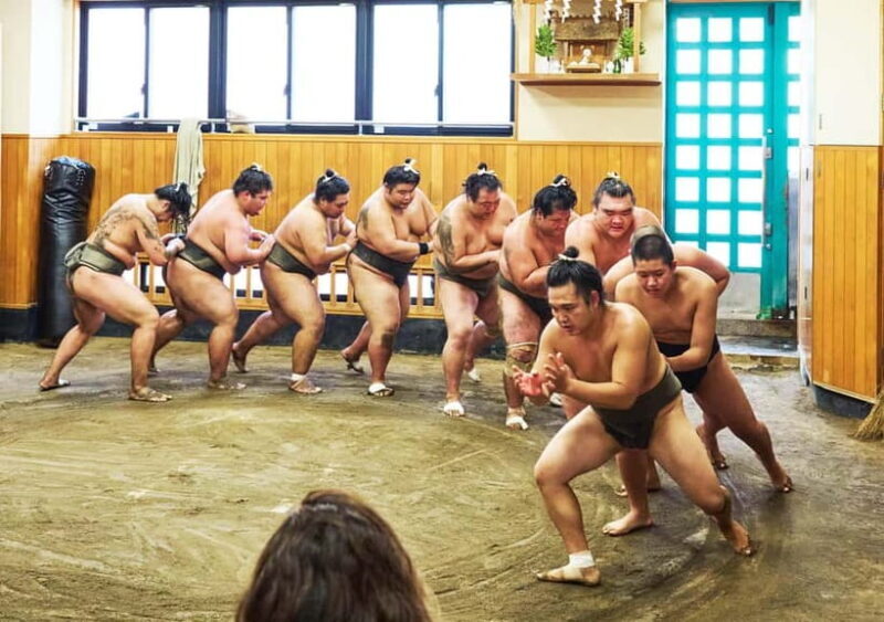 Tokyo: Sumo Morning Practice Viewing Tour at a Real Stable - What to Expect on the Sumo Morning Practice Tour