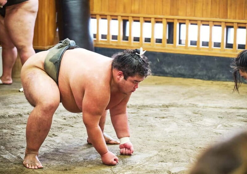 Tokyo: Sumo Morning Practice Viewing Tour at a Real Stable - Authentic Experiences and Authenticity