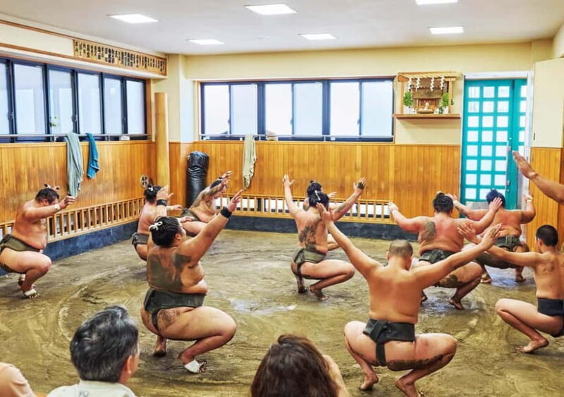 Tokyo: Sumo Morning Practice Viewing Tour at a Real Stable - The Sum Up