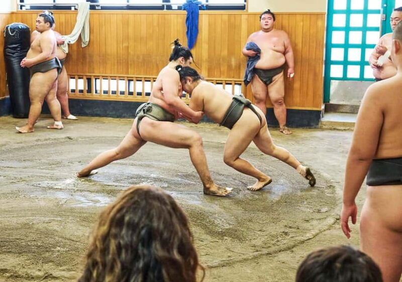 Tokyo: Sumo Morning Practice Viewing Tour at a Real Stable - FAQ
