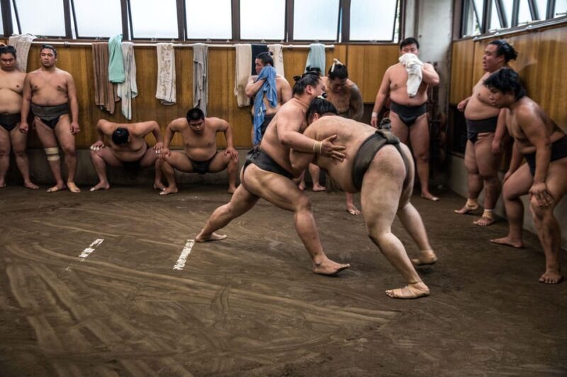 Tokyo: Sumo Morning Practice Viewing Tour - FAQ About the Tokyo Sumo Morning Practice Tour