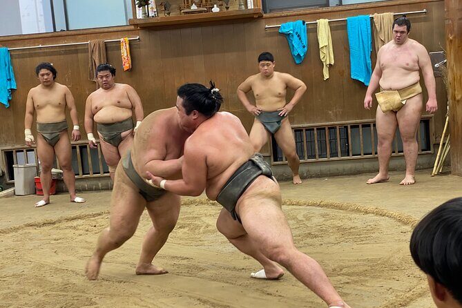 Tokyo Sumo Morning Practice with Guide  Ringside Live Training - Key Points