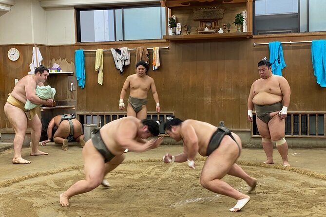 Tokyo Sumo Morning Practice with Guide  Ringside Live Training - FAQs