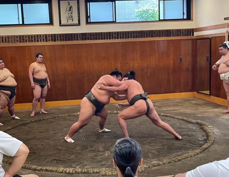 Tokyo: Sumo Morning Practice with Photo Banzuke and Guide - The Role of the Guide