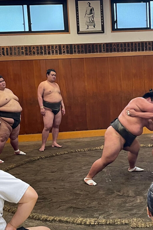 Tokyo: Sumo Morning Practice with Photo Banzuke and Guide - Who Will Most Benefit?