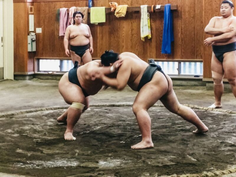 Tokyo: Sumo Morning Training Visit - Who Will Love This Tour?