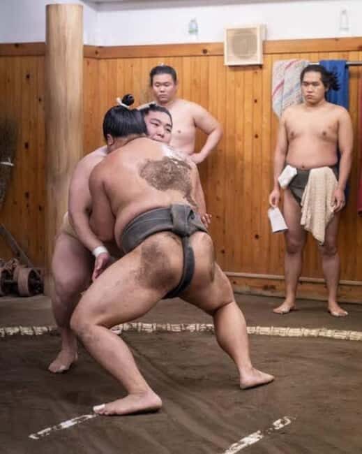 Tokyo: Sumo Show and Experience in Shinjuku - Tokyo: Sumo Show and Experience in Shinjuku