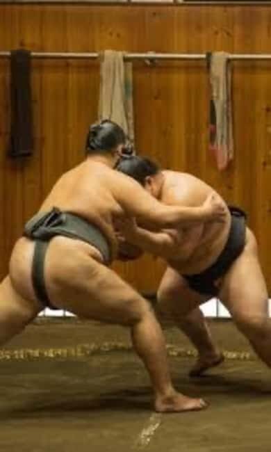 Tokyo: Sumo Show and Experience in Shinjuku - An In-Depth Look at the Sumo Experience in Shinjuku