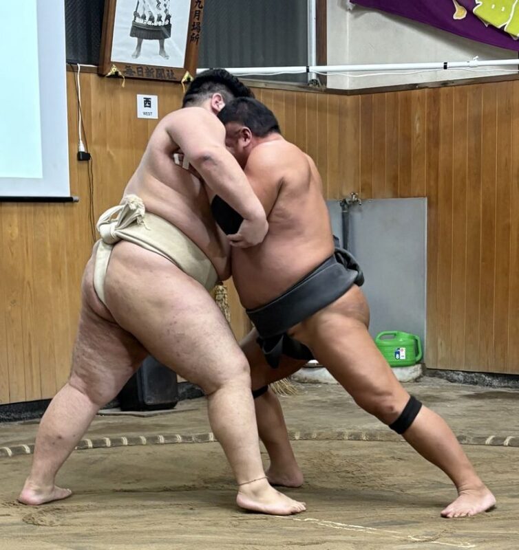 Tokyo Sumo Stable: Sumo Viewing & Experience - Choosing between the three session times