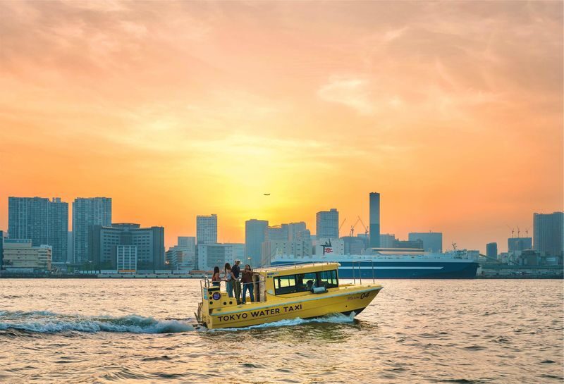 Tokyo: Sunset Boat Cruise with Local Guide on Private Boat - What to Know Before You Book
