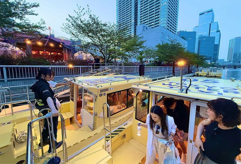Tokyo: Sunset Boat Cruise with Local Guide on Private Boat - Sunset Cruise or Daytime Seagull Trip?