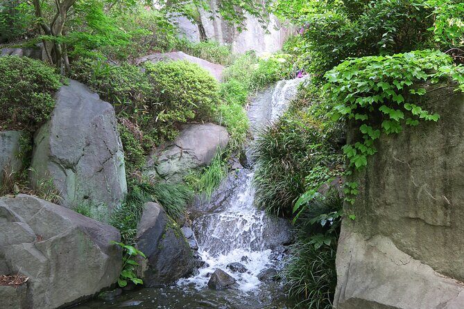 TOKYO: Tailored Gardens tour with Pro Gardener by E-bike -BASIC - Why The Personalization Matters