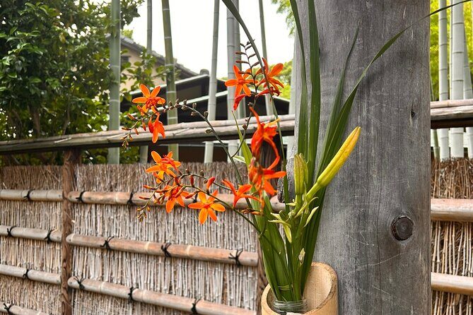 TOKYO: Tailored Gardens tour with Pro Gardener by E-bike -BASIC - Who Is This Tour Best For?