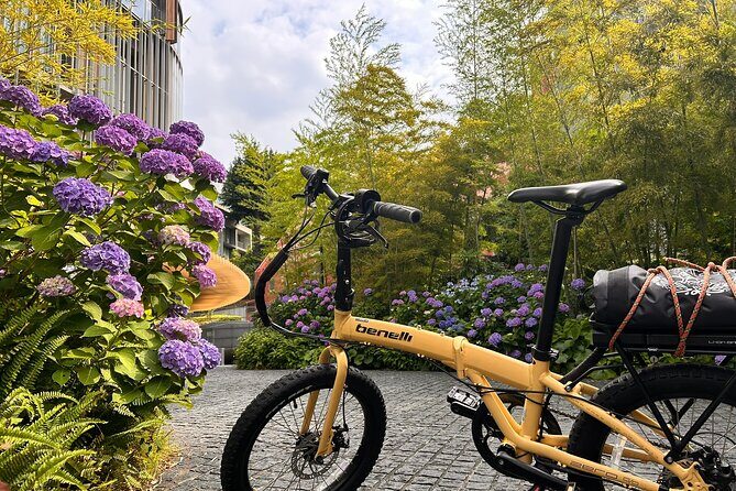 TOKYO: Tailored Gardens Tour with Pro Gardener by E-bike FULL-DAY - The Practical Side: What’s Included and What to Consider