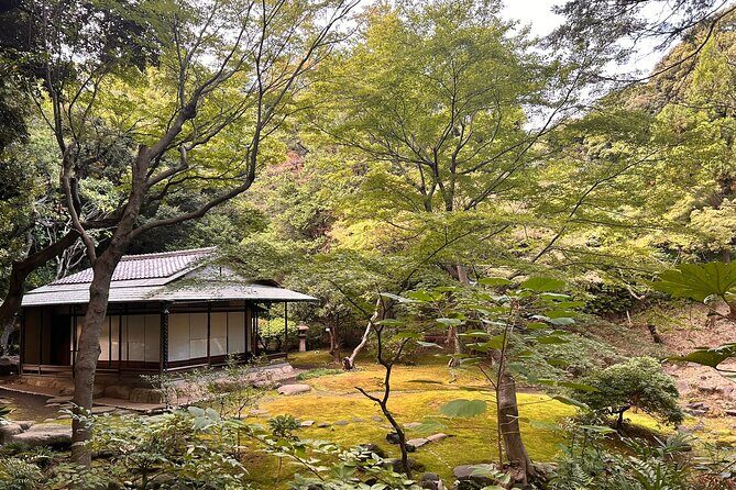 TOKYO: Tailored Gardens Tour with Pro Gardener by E-bike FULL-DAY - Authentic Experiences and Why They Matter