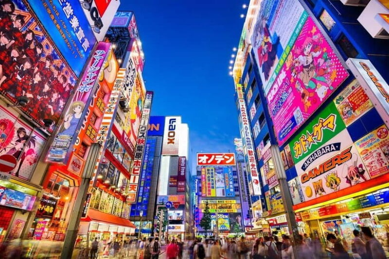Tokyo: Tailored Shopping Escape Tour - Key Points