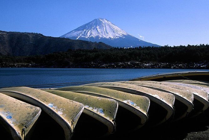 Tokyo to Hakone | Private and Personalized Day Trip with a Local - Who Should Consider This Tour?