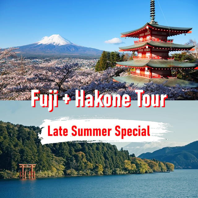 Tokyo to Mount Fuji and Hakone: Private Full-Day Tour - Key Points