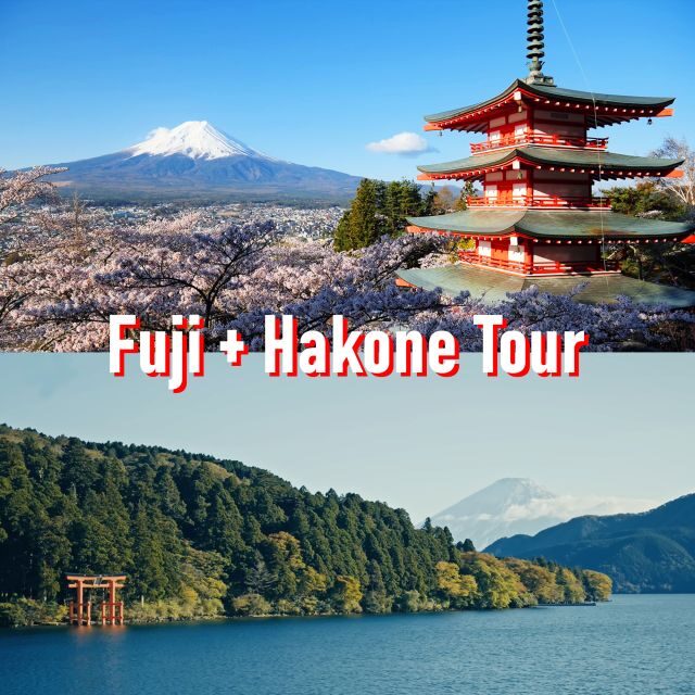Tokyo to Mount Fuji and Hakone: Private Full-Day Tour - Exploring the Details: What to Expect from This Tour