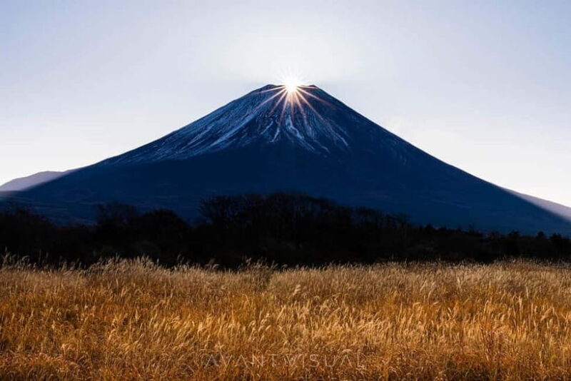 Tokyo To Mount FUJI Day Trip With English guide - Key Points