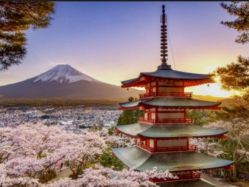 Tokyo To - Mount Fuji Day Trip With English Speaking Driver/Guide - At a glance: what matters most