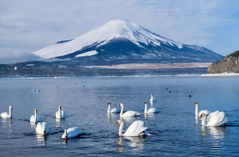 Tokyo To - Mount Fuji Day Trip With English Speaking Driver/Guide - Mount Fuji’s 5th Station: the high point of the route