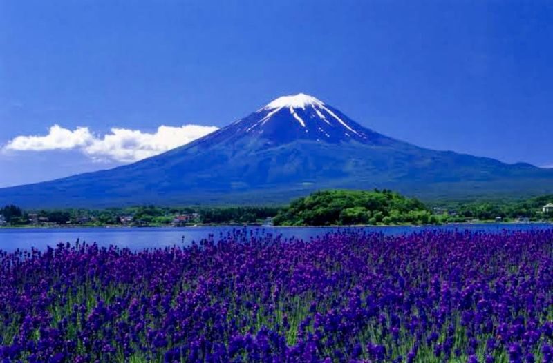 Tokyo To - Mount Fuji Day Trip With English Speaking Driver/Guide - Kachi-Kachi Ropeway and Lake Kawaguchi