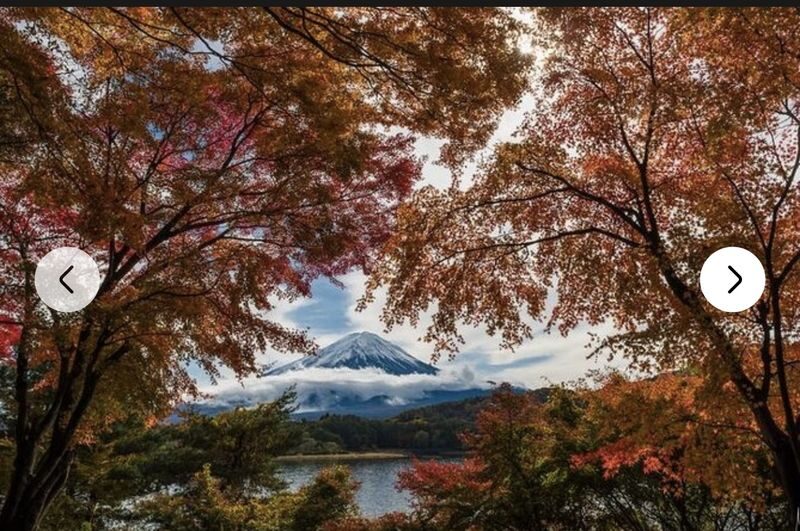 Tokyo To - Mount Fuji Day Trip With English Speaking Driver/Guide - Who should book this Mount Fuji day trip?