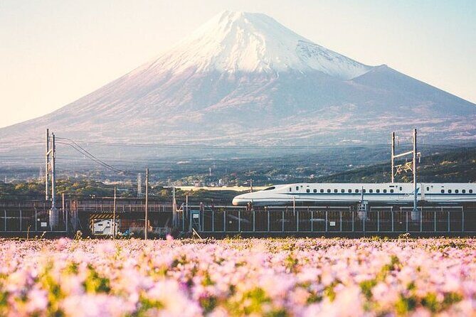 Tokyo to Mount Fuji Private Guided Experiences - An Authentic Day Trip from Tokyo to Mount Fuji