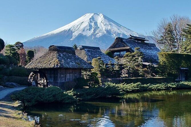 Tokyo to Mount Fuji Private Guided Experiences - Key Points