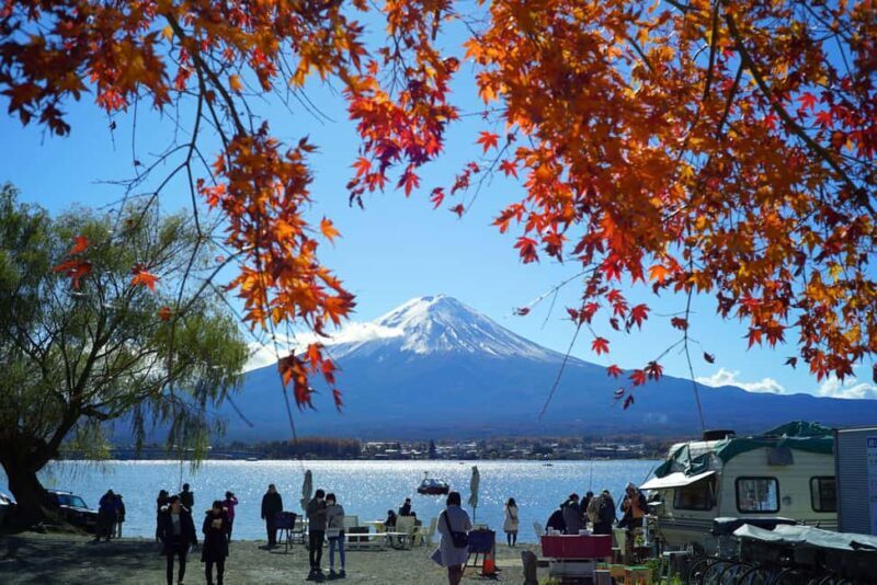 Tokyo to Mt. Fuji & Hakone: Private Customizable Day Trip - Who Should Consider This Tour?
