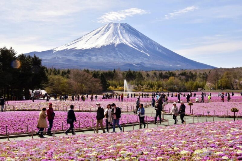 Tokyo to Mt Fuji private Tour - FAQs