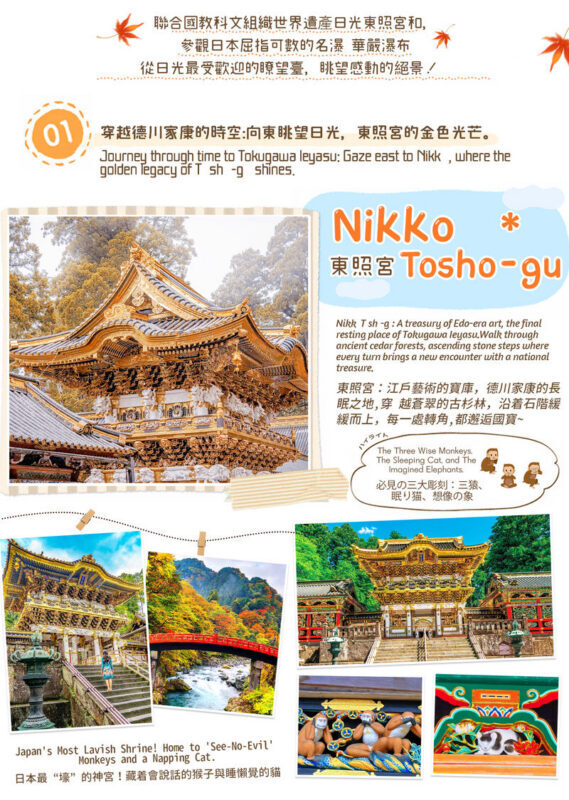 Tokyo to Nikko Day Tour | Tosho-gu Shrine & Irohazaka Slope & Lake Chuzenji & Kegon Falls Day Tour (Departing from Tokyo) - Toshogu Shrine: the main event