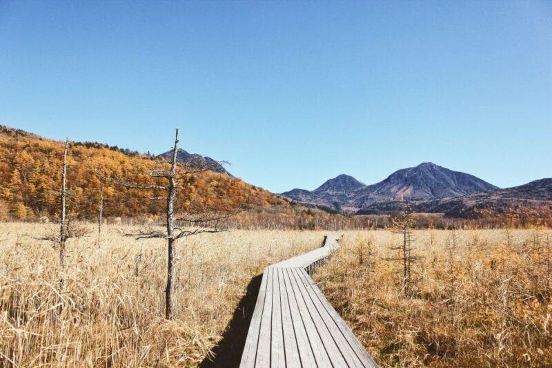 Tokyo to Nikko: Exclusive Private Day Trip - FAQ