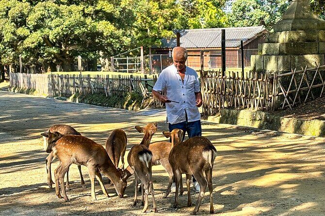 Tokyo to Osaka 8 Days Japan Mini Group Tour with Max 6 People - Exploring Japan in 8 Days: A Deep Dive into the Itinerary