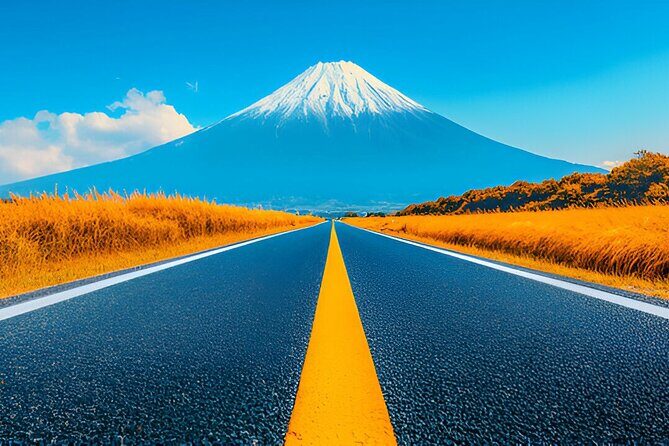 Tokyo To Osaka or Kyoto Private Luxury Car Transfer - The Vehicle & Service Quality