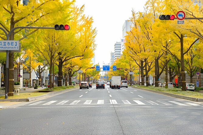 Tokyo To Osaka or Kyoto Private Luxury Car Transfer - Pricing & Value