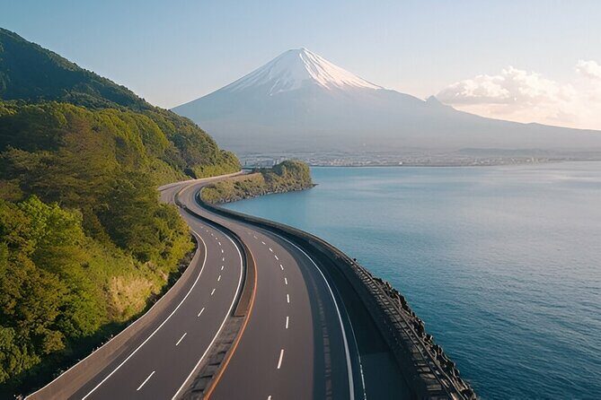 Tokyo To Osaka or Kyoto Private Luxury Car Transfer - Who Will Benefit Most?