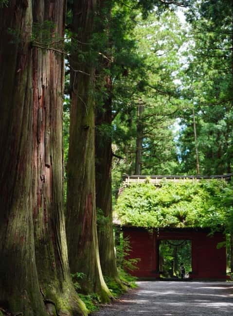 Tokyo: Togakushi Sacred Trail Day Tour with Shinkansen - Exploring the Togakushi Sacred Trail: A Practical Guide