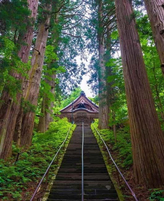 Tokyo: Togakushi Sacred Trail Day Tour with Shinkansen - Final Thoughts