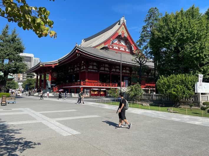 Tokyo: Tokyo Private Customize Day Tour With English Driver - Key Points