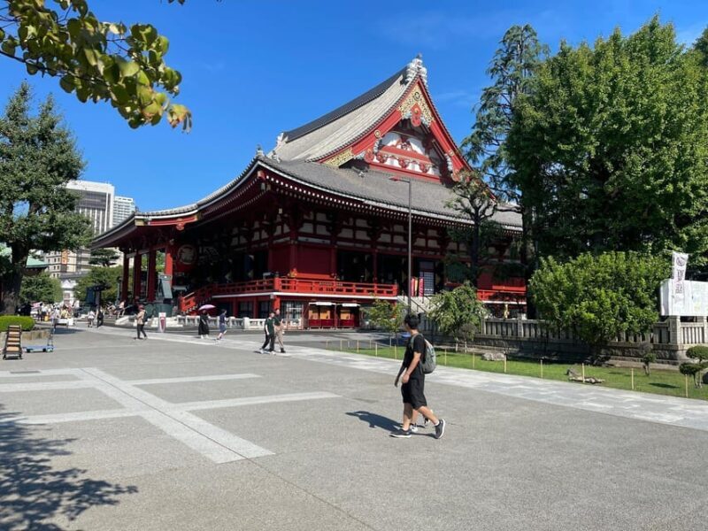 Tokyo: Tokyo Private Customize Day Tour With English Driver - Why This Tour Stands Out