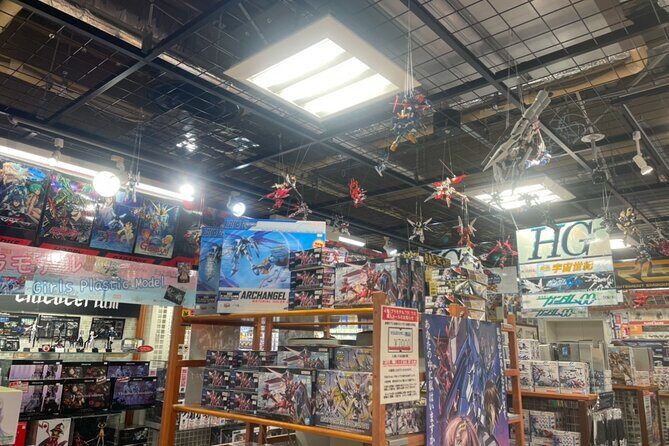 Tokyo: Tour around 10 charms to know Akihabara! - An Authentic Dive into Akihabara’s Heart