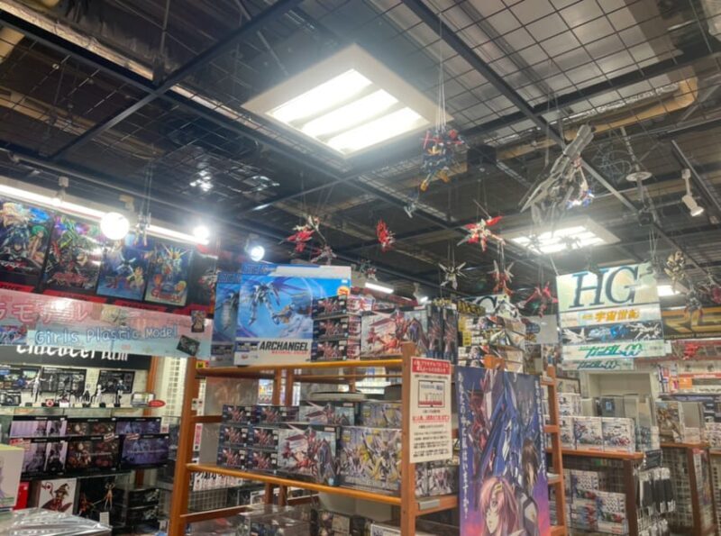 Tokyo: Tour around 10 charms to know Akihabara! - Key Points