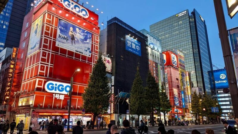 Tokyo: Tour Privado por Tokio en español - The Practicalities: What You Need to Know