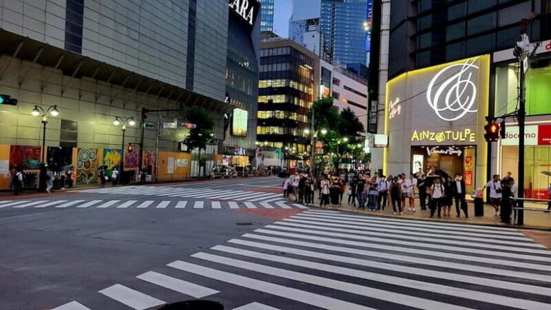 Tokyo Tour: Senso-ji, Meiji Shrine, Shibuya & Skytree Visit - Key Points