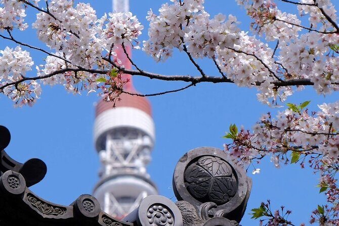 Tokyo Tower Adventure 60 Minute Scenic Rickshaw Ride - Tokyo Tower