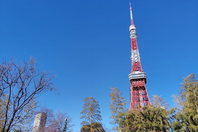 Tokyo Tower Tour Top Deck Views of Shinjuku and Mt. Fuji - Who Should Consider This Tour?