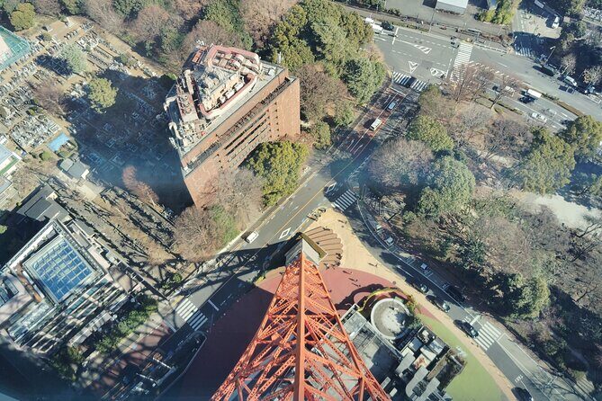 Tokyo Tower Tour Top Deck Views of Shinjuku and Mt. Fuji - The Sum Up: Who Is This Tour Best For?
